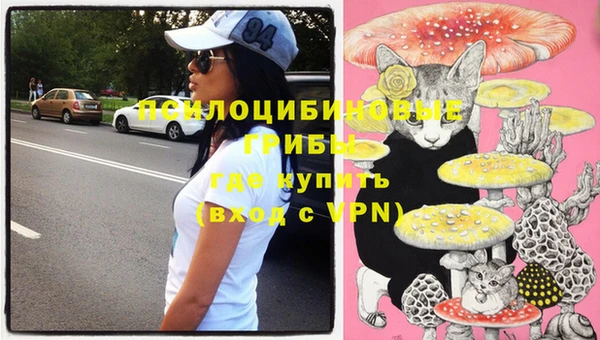 PSILOCYBIN Арсеньев