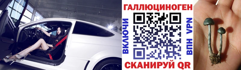 omg ONION Шумерля Псилоцибиновые грибы мицелий